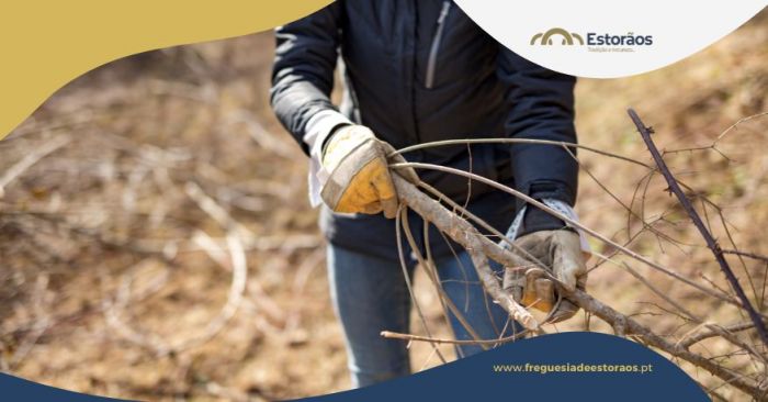 Limpeza de terrenos - Prazos para 2026