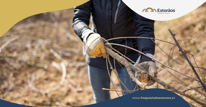 Limpeza de terrenos - Prazos para 2026