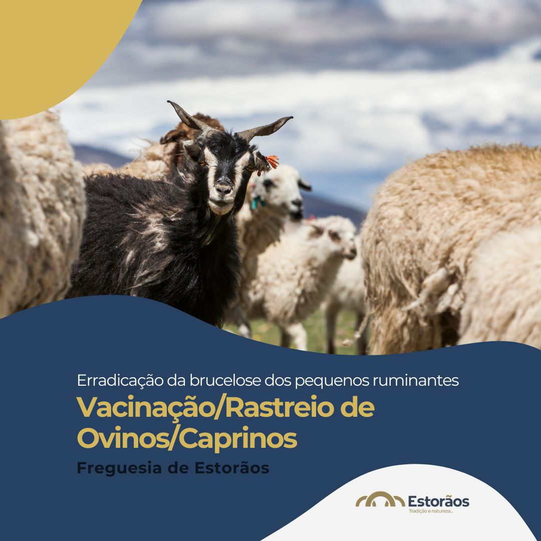 Vacina&ccedil;&atilde;o/Rastreio de Ovinos/Caprinos 2026 (LARGO DO CERQUIDO) - Erradica&ccedil;&atilde;o da brucelose dos pequenos ruminantes